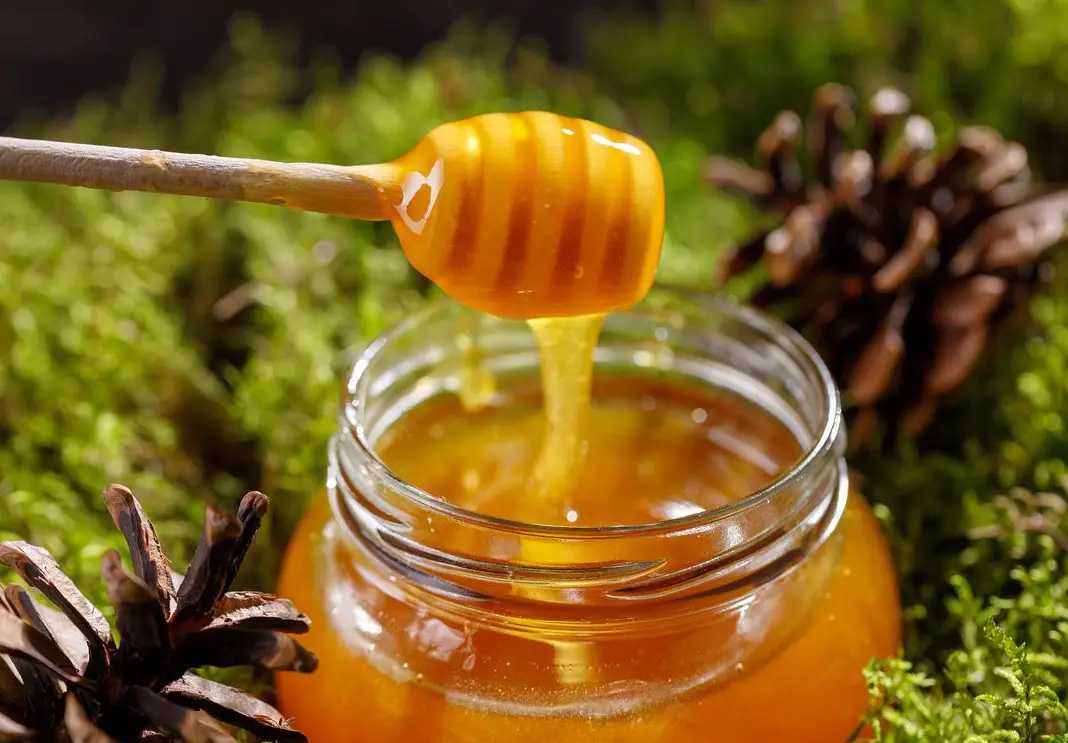 甜蜜革新，智造每一勺的优雅：吕工机械编带式勺装<span style=