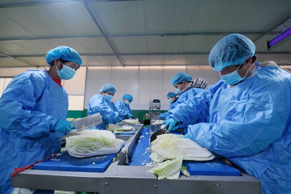 1749181684329086.jpg 净菜01.jpg